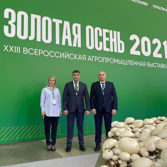 1 золотая осень 2021
