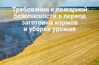 1 пожарка